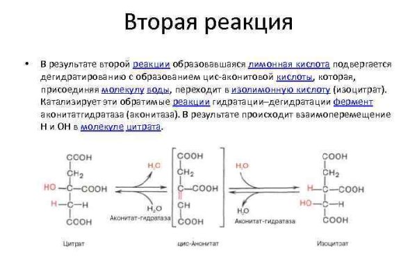 Кракен купить порошок krk market com